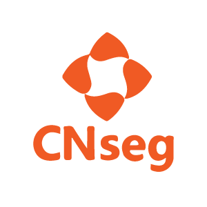 Logo CNseg