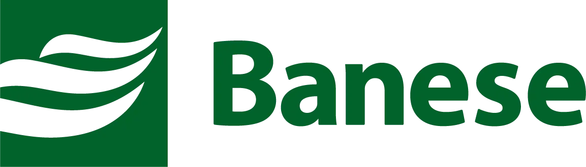 Logo Banese