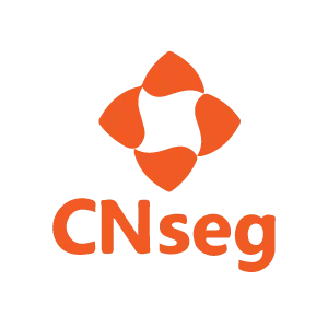 Logo CNseg